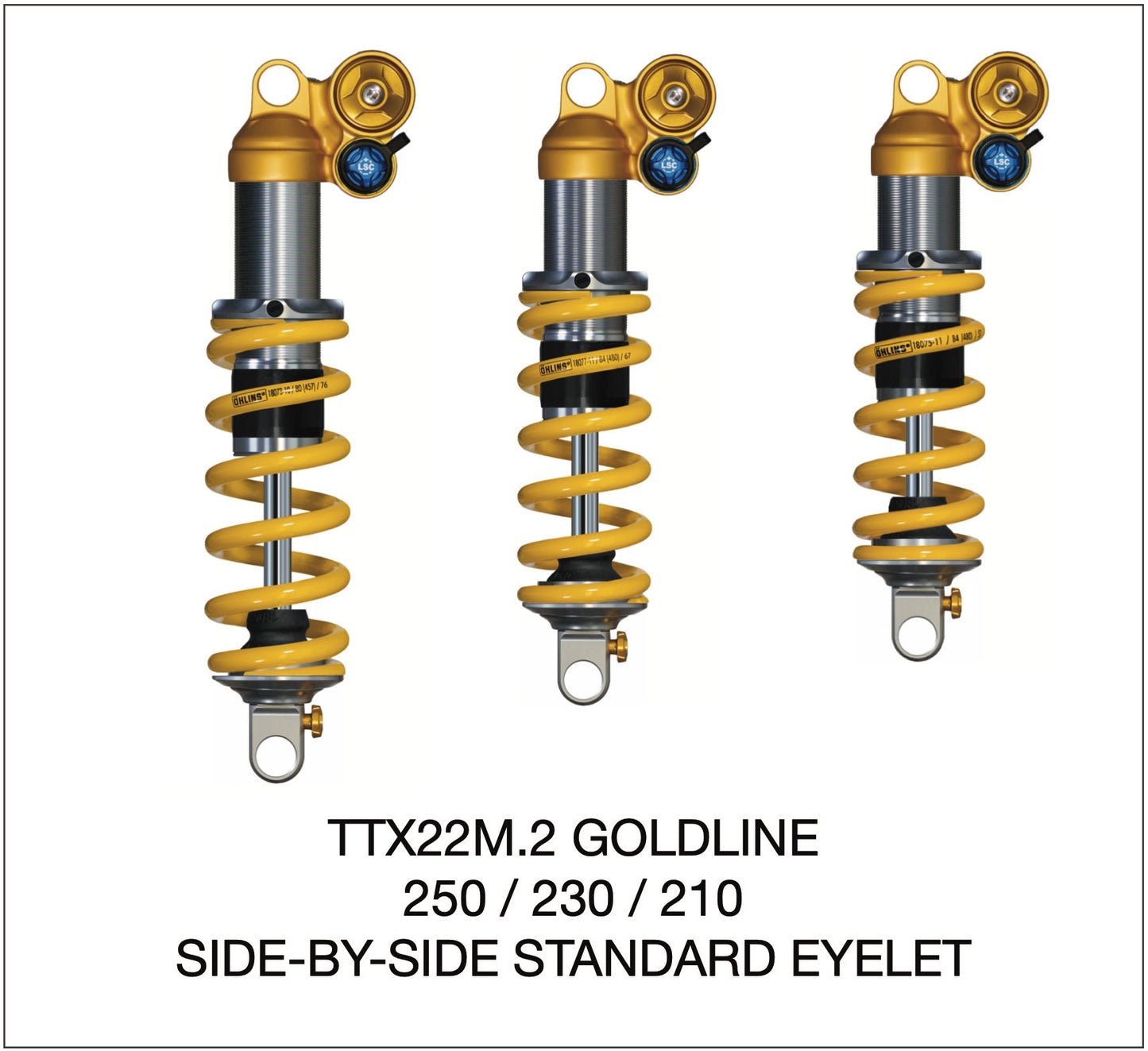 Öhlins TTX22m.2 Side-by-Side